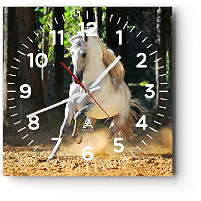 Modern Wanduhr Staub Emotionen Pferd Natur 30x30cm Quadrat Klein Wand Uhr Glas Analog Zimmeruhren Küche Büro Wohnzimmer Glasuhr Wall Clock Dekoration Design Wanddekoration Küchenuhr C4AC30x30-2181