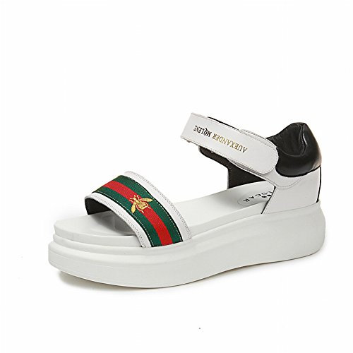 Barts Jungen Buck Beanie Beanie-Mütze, Navy, 53