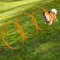 Navaris 3X Ring Agility Set Hunde klein und mittelgroß - 3er Hunde Agility Set - 3 Ringe für Hundesport Hundeparcour - Hunde Training Zubehör - Agility Hund Ringe - Orange