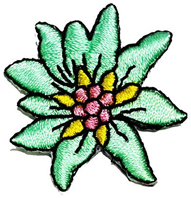 Aufnäher Bügelbild Aufbügler Iron on Patches Applikation Edelweiss Durchmesser 3,5cm Farbe: Türkis vor55-12