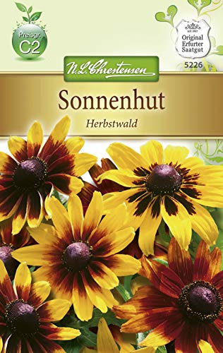 Chrestensen Sonnenhut 'Herbstwald'