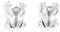 Drachenfels Ohrstecker Set aus der Kollektion Froschkönig/Ohrstecker Silber mattiert/Eleganter Designerschmuck veredelt/Froschohrringe für Damen/D FR 26/AG
