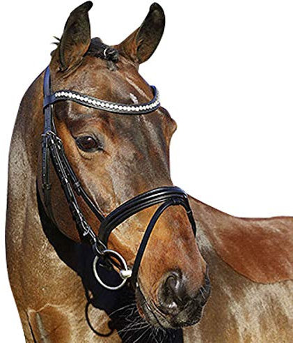Euroriding Trense La Rochelle ENGL. ohne Zügel, Größe:Pony (P), Farbe:schwarz