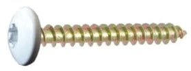 Vis penture 6x50 mm blanc pur RAL 9010 Acier Zingué Bichormaté par 50