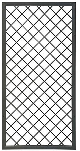 VERDEMAX Traliccio Fisso con Cornice in Metallo 180x90cm V008523