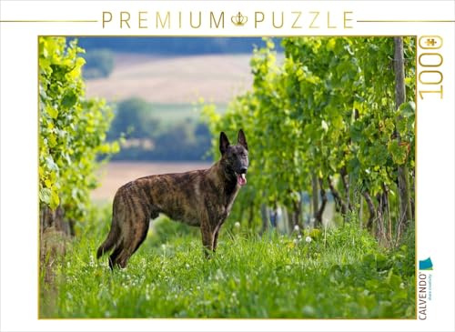 CALVENDO Puzzle EIN Motiv aus dem Kalender Holländischer Schäferhund | 1000 Teile Lege-Größe 64 x 48 cm Foto-Puzzle für glückliche Stunden