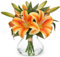 Oairse Artificial Flowers Tiger Lily Faux Orange Lilies Flower in Glass Vase with Faux Water Realistic Easter Lily Flora Arrangements for Easter Decor Home Office Living Room Wedding Table Decoration
