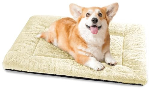 Baodan Hundebett Mittelgroße Kleine Hunde, Hundekissen Waschbar für kleine mittelgroße Hunde, Dog Bed - 75x50 cm Superweich Katzenbett mit Rutschfester Unterseite - Beige