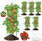 Isheurg Enrejado de tomates, 6 unidades, 130 cm, para enrejado de pepinos, plantas trepadoras, altura ajustable, para tomate, pepino, rosas, jardín, enrejado de metal, con 50 clips para plantas