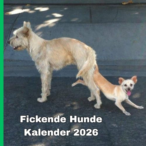 Fickende Hunde kalender 2026