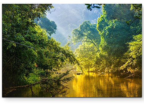 Paul Sinus Art Leinwandbilder | Bilder Leinwand 120x80cm Fluss im Regenwald