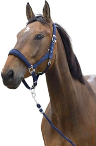 OR S-LINE Norton Halfterset Large Halfter & Führstrick Set für Pferde (Marineblau, Warmblut)