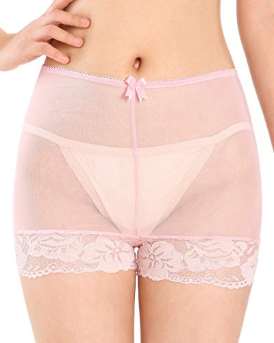 Satini Women's Nylon Sheer French Knickers Briefs Panties (Baby Pink, XL)