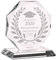 Wanapix | Trophée Personnalisé avec Nom et Texte | Verre Gravé (échelle de Gris) | Trophée Personnalisé | Boîtier de Rangement Inclus | Octogonal 17 cm| Diplôme