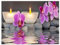 DCIDBEI Diamond Painting Orchideen 50x40cm Diamant Painting Bilder Orchideen Lila Diamant Painting Blumen Diamant Malerei Stickerei Diamond Painting Landschaft Zen Phalaenopsis kerzen