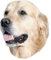 Nobby 93261 Aufkleber golden Retriever
