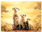 5D DIY Diamant Malerei Kits Erdmännchen Familie Full Strass Crystal Erwachsen Kreuzstich Stickerei Diamond Painting Mosaik Bilder Schlafzimmer Home Wall Dekoration Handwerk 50x70cm/20x28in B7274