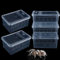 5 Stück Spinne kleine Terrarien Aufzuchtbox Transparent Brutbehälter Kunststoff Futterbox für kleine Reptilien Spinne Skorpion Tausendfüßler Insekten