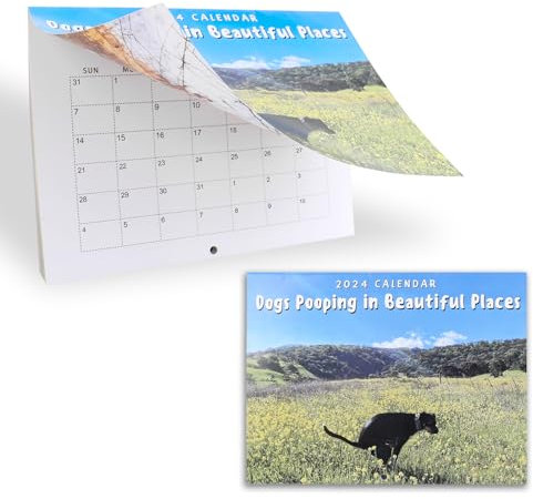 Pooping Dogs Calendar 2024, 9,8 X 7,4 Zoll Kalender 2024 Wandkalender, Dogs Pooping in Beautiful Places 2024, Tagesplaner mit monatlichen Welpen Kalender Bild Für Freunde, Familie, Nachbarn