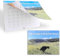 Pooping Dogs Calendar 2024, 9,8 X 7,4 Zoll Kalender 2024 Wandkalender, Dogs Pooping in Beautiful Places 2024, Tagesplaner mit monatlichen Welpen Kalender Bild Für Freunde, Familie, Nachbarn