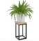 LAMO Manufaktur 30 cm Support Plantes | Piédéstal pour Plantes | Porte-plantes Interieur Cadre Noir | Plateau 100% Bois Massif Couleur: Naturel