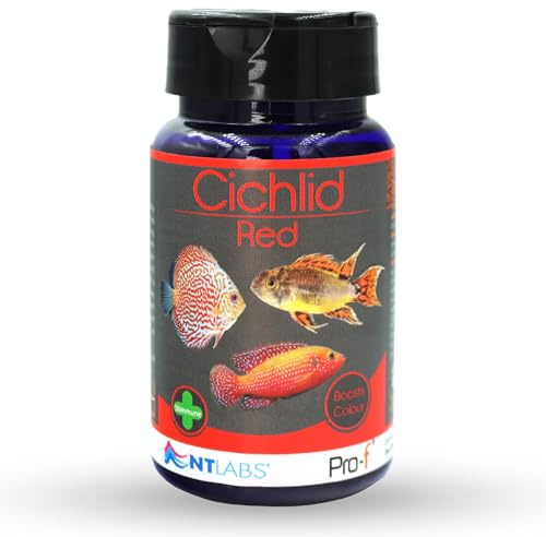 NT Labs Pro-f Cichlid Red American Species Fish Food Granules (35g) | Highly nutritious high-protein slow-sinking granules. Formulated for carnivorous Central & South American cichlids.
