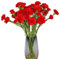 Corkwaw Garofani artificiali in seta, ortensie, bouquet di piante in plastica, adatti per foto, feste di famiglia, bouquet da sposa, decorazione (rosso)