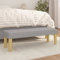 CIADAZ Sitzbank, Flur Möbel, Sitzbank Esszimmer, Bettbank, Flur Deko, Sitzhocker, Truhenbank, Truhenbank, Schlafzimmer Möbel, Hellgrau 100x30x30 cm Stoff