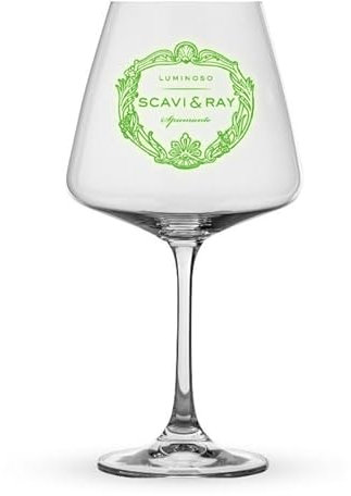 Scavi & Ray 0,2l Luminoso Glas 6er Set