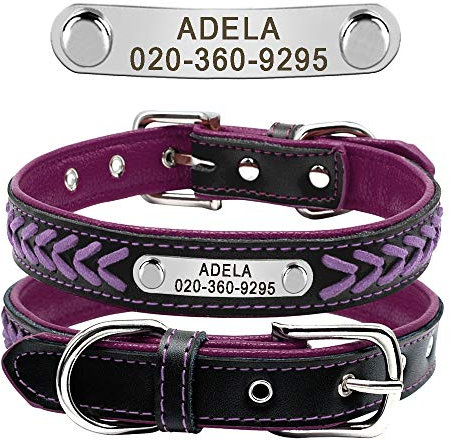 Beirui Collar de perro acolchado suave personalizado con hebilla, cómodo y elegante collar de cuero para perros pequeños, medianos y grandes con placa de nombre (L, morado, 37-47 cm)
