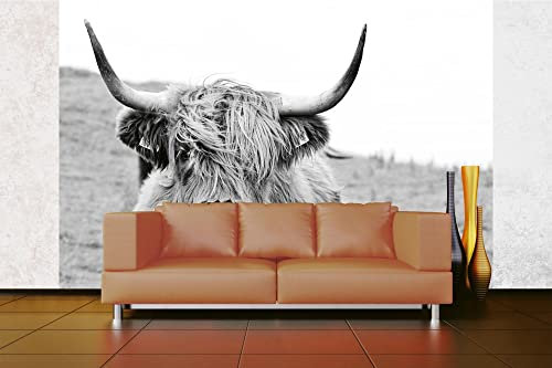 Vlies Fototapete SCHOTTISCHE KUH 375 x 250 cm (inkl. Kleister) - Vlies Tapete, Wandtapete, Wandbilder - Tapete für Wohnzimmer Schlafzimmer, Büro, Küche - Montagefertig