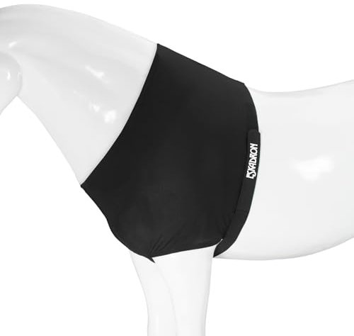 BASIC Brustschutz BRUSTSCHUTZ