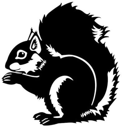 JIFENLI Autoaufkleber 15,1 cm * 15,8 cm Eichhörnchen Schönes Auto Aufkleber Muster Dekor Auto Tür Vinyl Aufkleber Schwarz/Silber