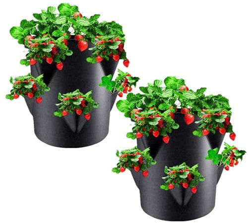 Vasi per Fragole Verticali da Esterno | 2 Pezzi 7 Galloni Vaso per Fragole Verticale | Sacchetti Coltivazione Traspiranti con 6 Fori | Contenitori for Coltivazione di Verdura In Tessuto Non Tessuto