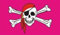 Pirat PINK Fahne Flagge Grösse 1,50x0,90m - FRIP –Versand®