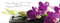 artissimo, Glasbild, 80x30cm, AG1908A, Mit jeder Minute.., Orchidee, Bild aus Glas mit Spruch, moderne Wanddekoration aus Glas, Wandbild Wohnzimmer modern