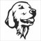 INDIGOS UG Auto Aufkleber Golden Retriever schwarz - 88mmx109mm - Autoaufkleber - Tuning - Sticker - Heckscheibe - Fahrrad - Motorrad - UV beständig
