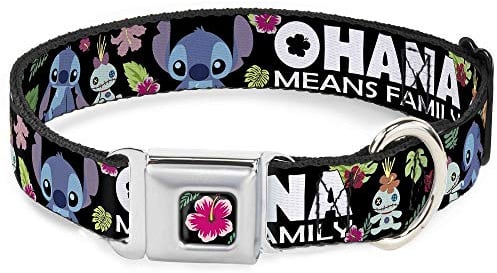 Buckle-Down Lilo & Stitch -Ohana means Family Dog Collar, Seat Belt Buckle, Black Multicolor