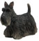 Unicorn Studios wu76899aa Scottish Terrier Hund Skulptur – Schwarz