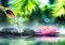 Fototapete 3D Effekt Vliestapete Tapeten Schöne Wasserlotus-Zen-Kunst Fototapete Wandtapete Wallpaper Wandbilder 250x175cm