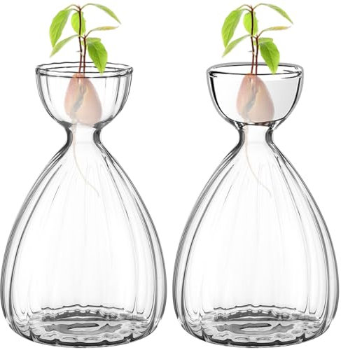 Avocado-Samen-Sprossen-Startervase, Pflanzgefäß, Avocado-Vasen-Set, Avocado-Baum-Anzuchtvase, klar gestreiftes Glas, Anzuchtgläser, Behälter für Hydrokultur-Pflanzen für Gartenliebhaber, 4 Stück