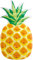 Intex 58761 Ananas Matte für Pool Meer 216 x 124 cm