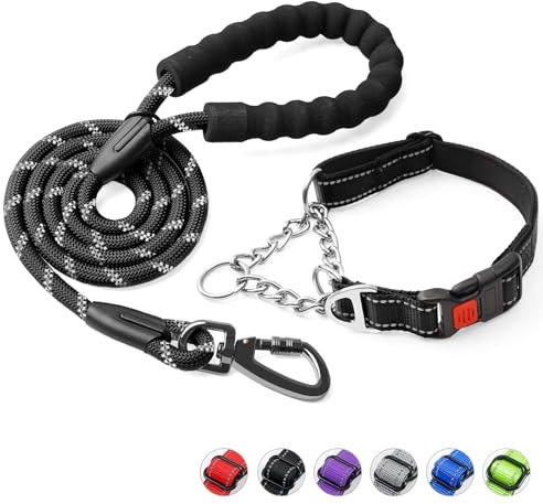 Duckygoo Hundehalsband und Leine, Martingale-Hundehalsband mit Schnellverschluss-Schnalle, reflektierende Hundeleine und verstellbares Hundehalsband mit weichem, atmungsaktivem Neopren, gepolstert für
