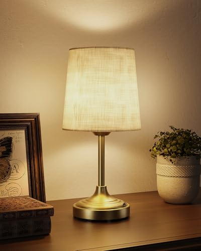 EZVALO 8000mAh Rechargeable Table Lamp, Dimmable Touch Control LED Lamp, 2700K Warm White Wireless Portable Cordless Battery Operated Lamp with Fabric Shade for Bedroom Living Room Kitchen Dining Room