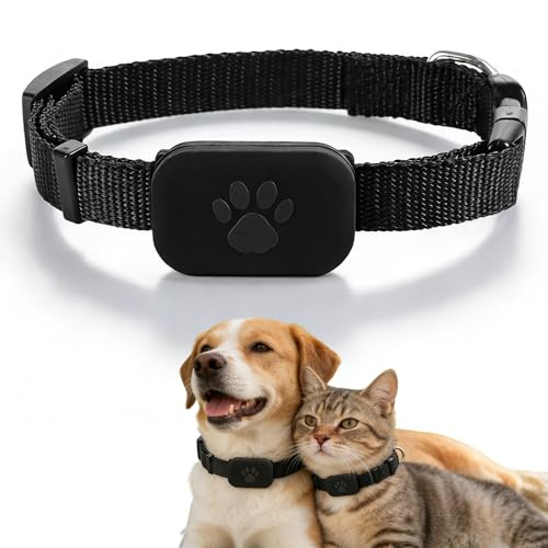 GPS Tracker Hund Katze, SGZIOO GPS Tracker Katze mit verstellbarem Halsband, Kompatibel mit iOS und Android, Ohne ABO, Wasserdicht, für Kätzchen & Welpen