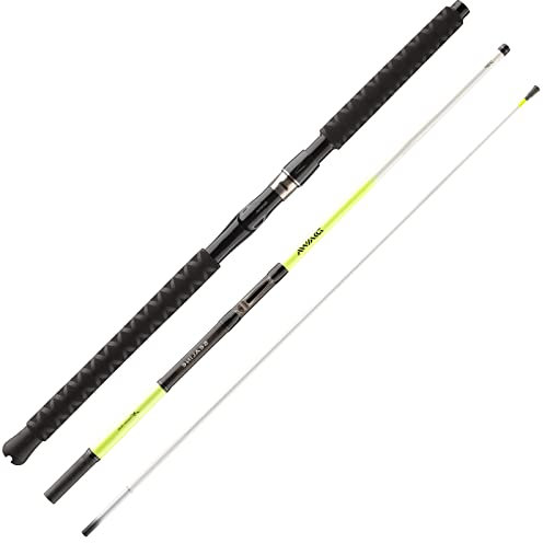 Daiwa Seal. X't. Itl Tr 2.13m 30-40l Meeresrute