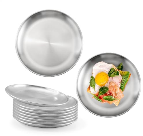 WENLISELL 10 PCS 20cm Stainless Steel Plates, 8 Inch Round Metal Serving Dinner Plates, Stainless Steel Round Dishes for Baking, Picnic, Barbecue