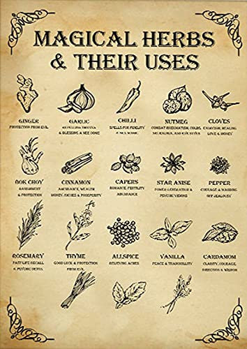 Magical Herbs And Their Uses Witchy Poster Kitchen Witch Wall Art Vintage Kitchen Witchery Witches Magic Knowledge Poster Tin Signs For Man Cave Metal Tin Signs Vintage 6x8 Inch