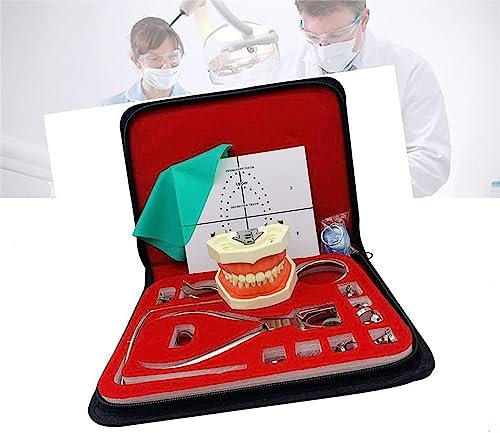 CEEBUS Dental Endodontic Rubber Dam Kit, with Dental Teeth Model, Positioning Plate Clamps Frames