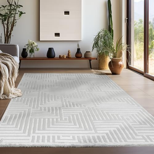 Teppium Moderner Kurzflor Teppich Wohnzimmer 120 x 170 cm Silber - 3D Boho Teppich Waschbar, Skandinavisches Stil, Geometrisch und Weich - für Schlafzimmer, Esszimmer oder Küche